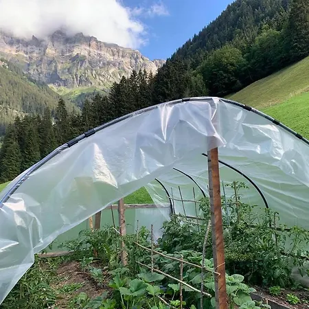 Szálloda Du Grand Paradis - On Piste 4*