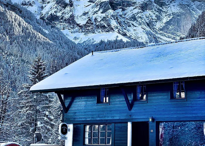 Ξενοδοχείο Du Grand Paradis - On Piste 4*