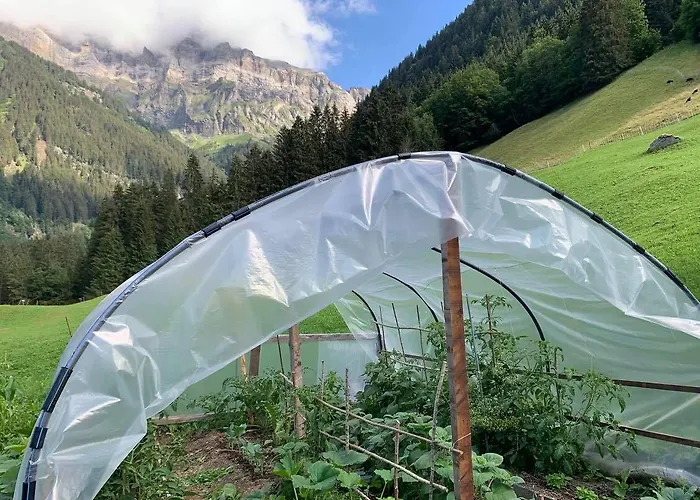 Otel Du Grand Paradis - On Piste 4*