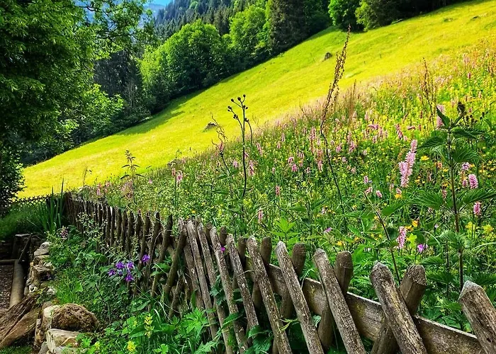 Du Grand Paradis - On Piste Ξενοδοχείο Champéry